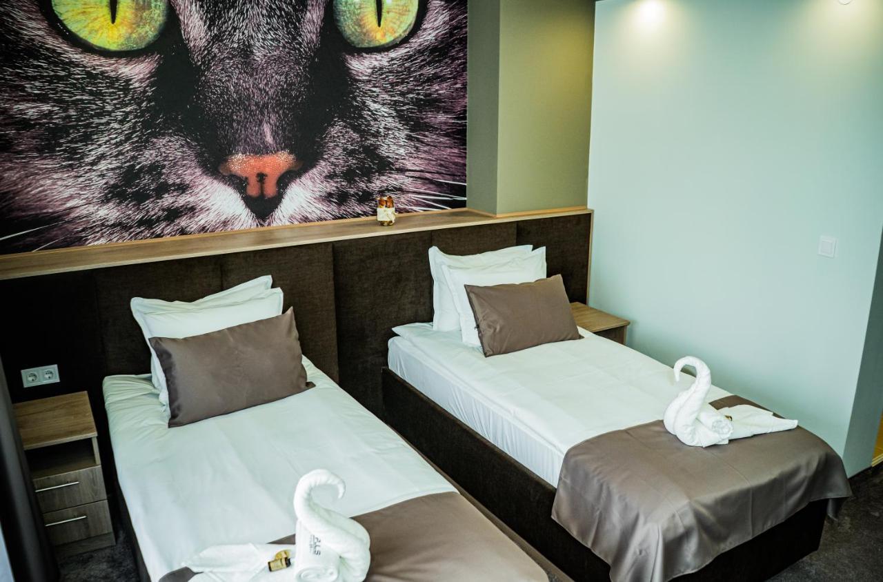 Impuls Hotel 비딘 외부 사진